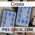 Cidala 20